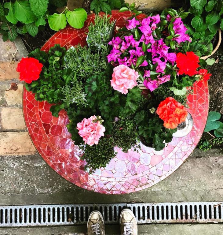 Sgt.Pepper'S Bnb Ixelles ภายนอก รูปภาพ